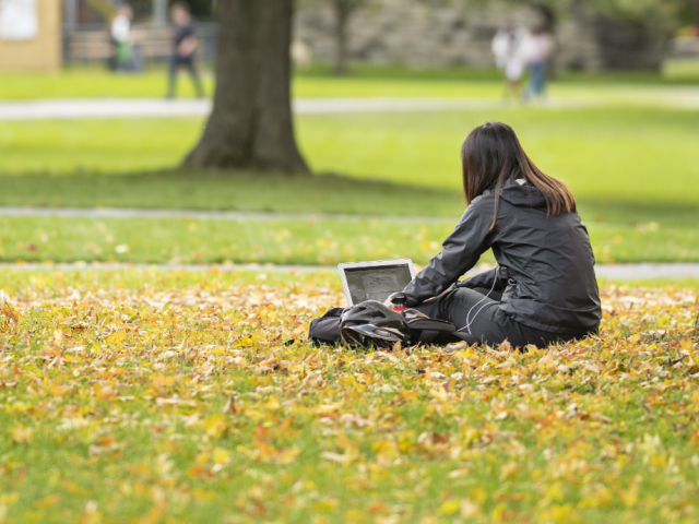 Person sitting on the grass in autumn, working on laptop